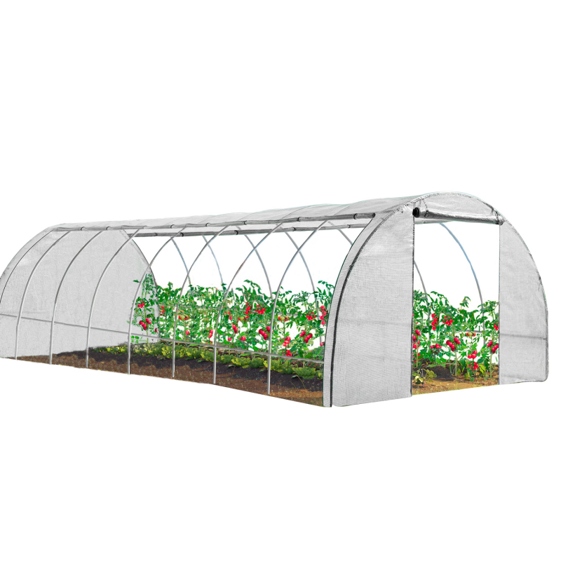 Serre Tunnel de Jardin 4 Saisons 24M² 8x3M Blanche Gamme Maraîchère - VERA